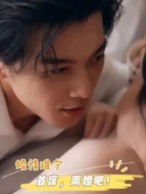 婚情难守：首席，离婚吧 21-40集