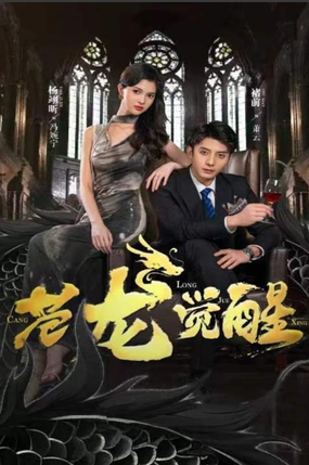 苍龙觉醒 全集 (上)(大结局)