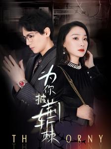 为你披荆斩棘 全集 (上)(大结局)