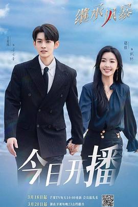 继承风暴 第11集